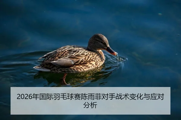 2026年国际羽毛球赛陈雨菲对手战术变化与应对分析