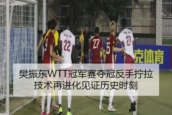 樊振东WTT冠军赛夺冠反手拧拉技术再进化见证历史时刻