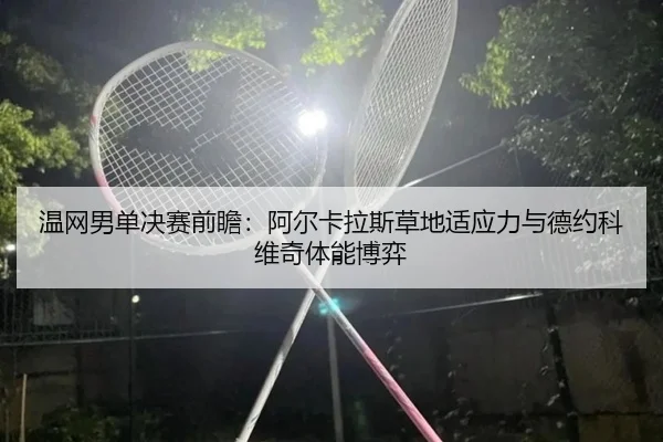 wen-wang-nan-dan-jue-sai-qian-zhan-a-er-ka-la-si-cao-di-shi-ying-li-yu-de-yue-ke-wei-qi-ti-neng-bo-yi-3-377.jpg