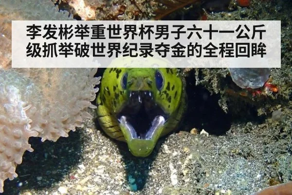 李发彬举重世界杯男子六十一公斤级抓举破世界纪录夺金的全程回眸