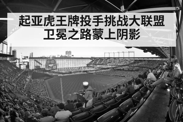 baseball stadium crowd